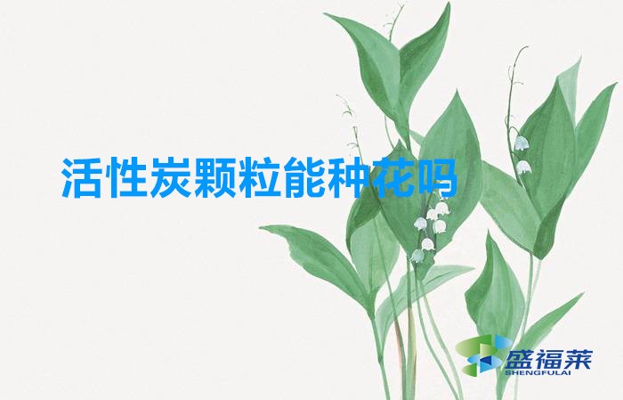 活性炭顆粒能種花嗎(活性炭怎么用來(lái)養(yǎng)花)