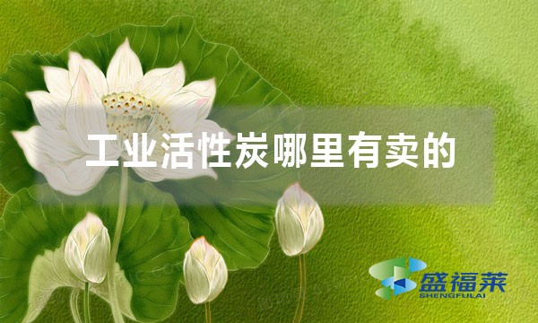 工業(yè)活性炭哪里有賣的（工業(yè)活性炭購(gòu)買渠道）