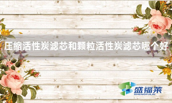 壓縮活性炭濾芯和顆?；钚蕴繛V芯哪個(gè)好 好在哪里？