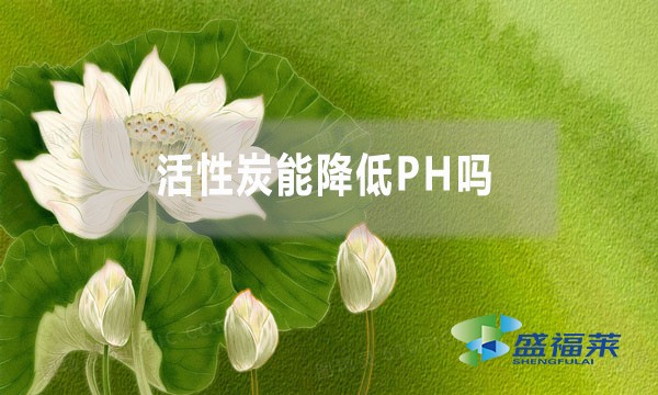 活性炭能降低PH嗎？為什么？