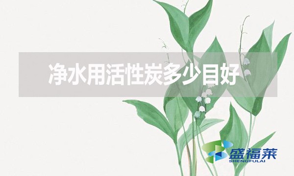 凈水用活性炭多少目好？有哪些優(yōu)缺點？