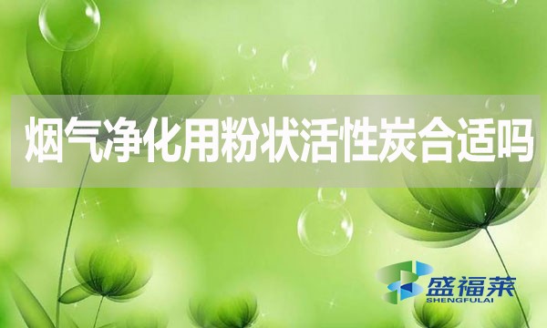 煙氣凈化用粉狀活性炭合適嗎？