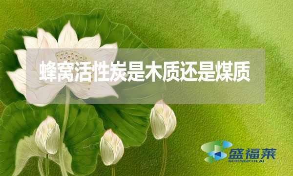 蜂窩活性炭是木質(zhì)還是煤質(zhì)？哪種好？